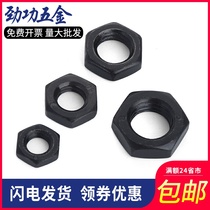  8 Grade 8 Hexagon thin nut GB6172 blackened Grade 8 fine tooth flat nut GB6173 M8M10M12-M56