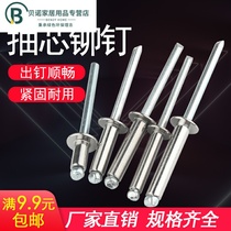 304 stainless steel core pulling rivets pull rivets round head pull nails 4mm nail heart pulling willow nails decoration M3 2M4M5