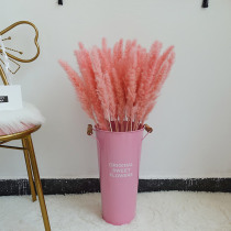 ins Net red pink Reed dried flower bouquets vase window live background living room floor decoration ornaments