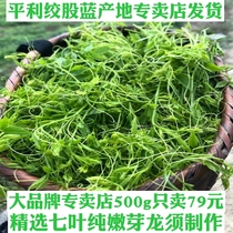 500g Pingli twisted stock blue Dragon beard tea Seven-leaf bitter Five-leaf sweet twisted stock blue flagship store