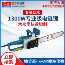 Dongcheng electric chain saw FF03-405 Household flashlight saw High-power woodworking cutting machine Multi-function handheld logging saw