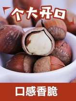 New Northeast hazelnut New year nuts Changbai Mountain original wild pregnant women snacks dried fruit fried goods 500g