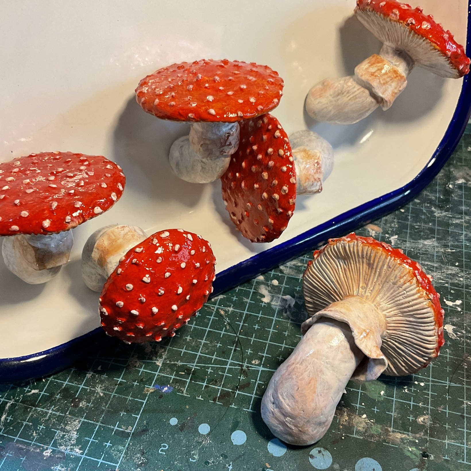 艾~台灣的真菌手札(Emily, Amy \u0026 Allan's Taiwan fungi journal): 【No.550】 Amanita  flavoconia 黃毒蠅鵝膏, image size:1640x1640