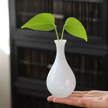 垂はつ希少特大サイズ150cm 掛け物用品150cm 床飾り裏千家