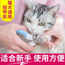 Pet cat nail clippers cat nail clippers special nail clippers cat cat dog nail scissors supplies set