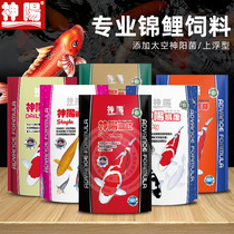 Shenyang koi feed specially bred butterfly carp whitening body color color fish food general good digestion fish food