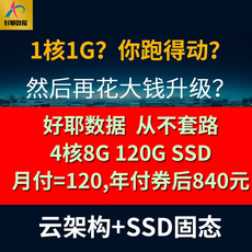 Сервер 国内香港美国bgp双线三线云服务器租用月付,多线vps,