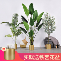 Simulation green plant large Nordic ins traveler banana Sanwei sunflower plant living room potted fake tree ornaments decoration landscaping