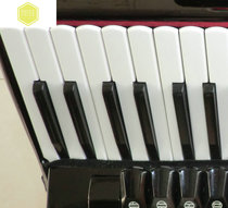  Accordion 48～120 Bass Accordion keyboard) White key)Black key