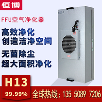 FFU edible fungus inoculation purifier household air purifier industrial high efficiency filter FFU fan filter