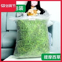 Timothy grass Dutch pig rabbit chinchilla food forage hay fresh pasture rabbit grain Timothy grass 3kg