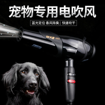 Pet dog bath blow dry Cat special hair dryer Quick-drying household hair dryer Small dog high-power hair pulling