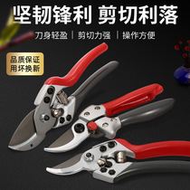 Pruning shears gardening pruning fruit trees scissors branches pruning cutting flowers garden branches shears all