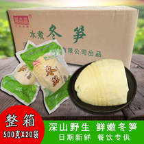 Jiangxi specialty 500g * 20 bags of whole box of fresh winter bamboo shoots tip wild spring bamboo shoots bagged fresh bamboo shoots hotel Commercial