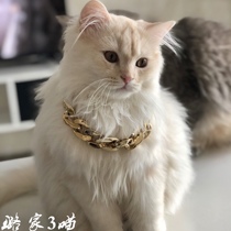 Pet collar Dog gold necklace Cat necklace Gold chain Photo jewelry Cute Teddy blue cat French bucket gradient