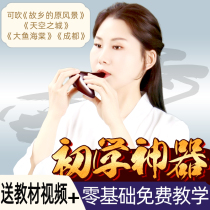 Ocarina instruments 12-hole alto C-tone AC beginner students Professional performance instruments Daquan 62 6 Pottery Xun