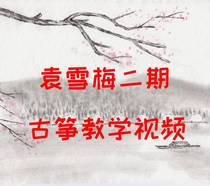 A full set of 10 songs Yuan Xuemei two cloud classroom fine talk Guzheng teaching video Yuan Xuemei