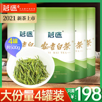 Anji white tea 2021 super new tea authentic origin specialty high mountain spring tea canned tea canned a total of 500g green tea
