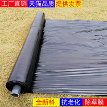 Black mulch weeding film heat preservation and moisturizing agricultural greenhouse plastic film Blown film Black film Orchard weeding