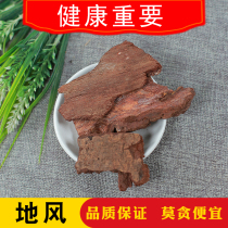 Chinese Herbal medicine chasing ground air-dried 500g grams of ground maple skin Chasing ground maple drill ground wind powder New Chinese herbal medicine