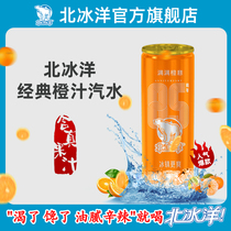 (Arctic Ocean Orange Juice Soda 330ml * 24 Listen) Old Beijing Soda Canned Soda Carbonated Drink