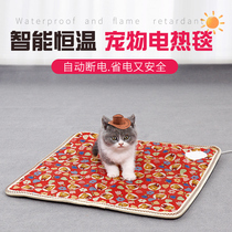 Cat electric hot blanket pet with electric hot blanket coveting cat with small thermostatic pet heating pad warmer naff