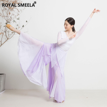 Classical dance practice suit Female body rhyme dance costume Fairy Chinese dance elegant wide-legged pants Modern dance performance suit