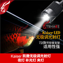 Caesar spotlight new infinite dimming LED light dragon fish night light fish tank clip light to fill the light of the three lakes in South America