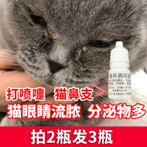 Cat nose branch cat eye drops cat cold sneezing runny nose eye excrement