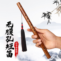 Mini Piccolo instrument portable non-membrane hole flute student introduction bamboo flute beginner children Adult Small flute