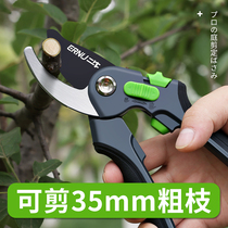 Gardening scissors Pruning shears Fruit trees cut thick branches Special shears Flower floral scissors Garden tools Household artifact