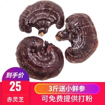 Lindao Changbai Mountain Ganoderma lucidum Ganoderma lucidum 26 yuan Jin buy 3 pounds free fresh ginseng free powder