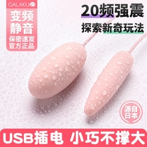 Mini Wired Remote Control USB Small Jumping Egg Mute Double Head Vibrating Female Masturbation Sex Pending Orgasm Products