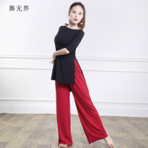 Modern classical Chinese dance practice clothes female adult modal loose size shirt wide-leg pants teacher suit