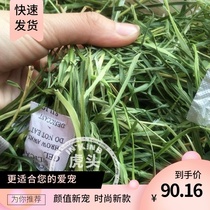 21 years Nantitimothy grass 500g Rod drying Nanti whole leaf Hay