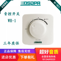 DSP disto pu public WH-1 yin kong switch 6W 30W 60W 120W 200W regulator