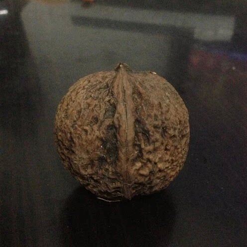 铁核桃文玩-铁核桃文玩促销价格、铁核桃文玩品牌- 淘宝