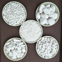White pebble white pebble stone rain flower stone flower pot decoration paving white stone decorative stone stone