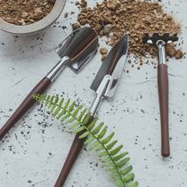 Carbon steel mini fleshy gardening shovel small three-piece set of planting flowers and flowers home garden gardening tools household