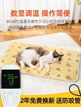 Electric heating cats nest pet electric blanket kitty heating cushion winter thermostatic small waterproof bedding for dogs