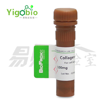 Experimental reagent Collagenase Collagenase type I Type II Type IV 2275MG100 100mg