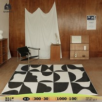 (Aoyama Meiku) original design Nordic art modern light luxury carpet bedroom living room coffee table mat INS Wind