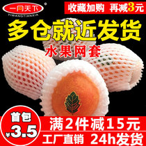 Fruit net cover foam shock protection cover bag peach mesh bag strawberry orange watermelon net bag Apple packaging bag