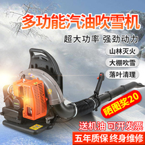 Wind fire extinguisher Gasoline hair dryer deciduous artifact High-power fire extinguishing blower Greenhouse snow blower Backpack