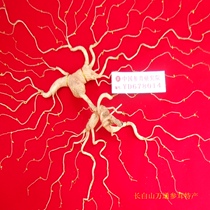 Northeast Changbai Mountain 52-year forest wild ginseng wild ginseng Lingyang ginseng mountain ginseng mountain ginseng