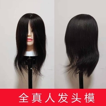 Hairdressing head model full real hair apprentice can be dyed and cut real hair dummy head mold cutting special model head doll head