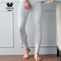 Wacoal bottoming non-marking modal cotton mens warm pants WV8419