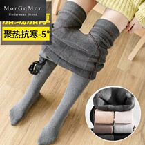 MORGOON PREGNANT WOMAN Underpants Silk Stockings Garnter Thickened Stockings Toabs External to wear with underfoot socks LL1110