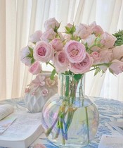 Mandison Nordic belly round ball transparent glass vase flower arrangement peony rose living room table ornaments