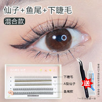 Fairy hairtail upper and lower eyelashes mixed single cluster fairy A- shaped segment comic Yu Shuxin with false eyelashes
